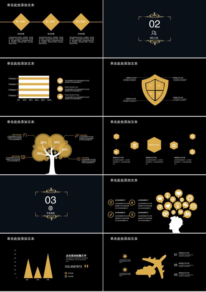 黑金風(fēng)創(chuàng)業(yè)項(xiàng)目計(jì)劃書(shū)PPT模板-1
