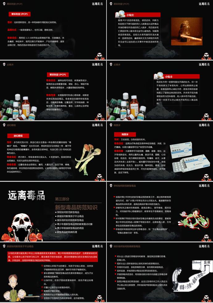 遠(yuǎn)離毒品國際禁毒日毒品知識解讀宣講培訓(xùn)-3