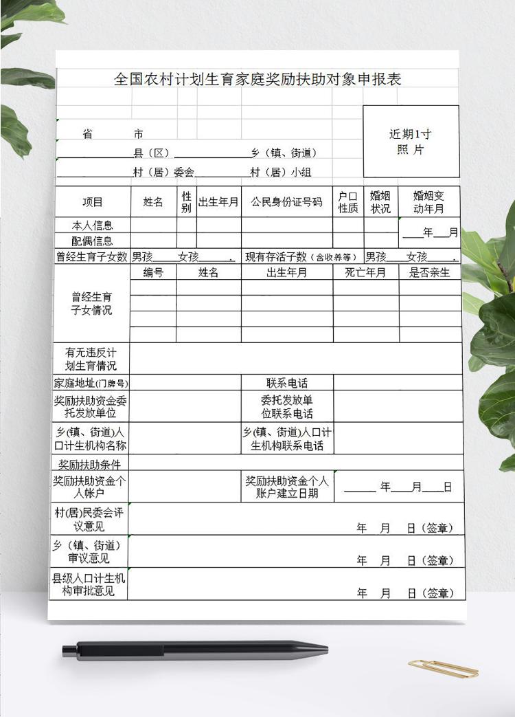 全國(guó)農(nóng)村計(jì)劃生育家庭獎(jiǎng)勵(lì)扶助對(duì)象申報(bào)表