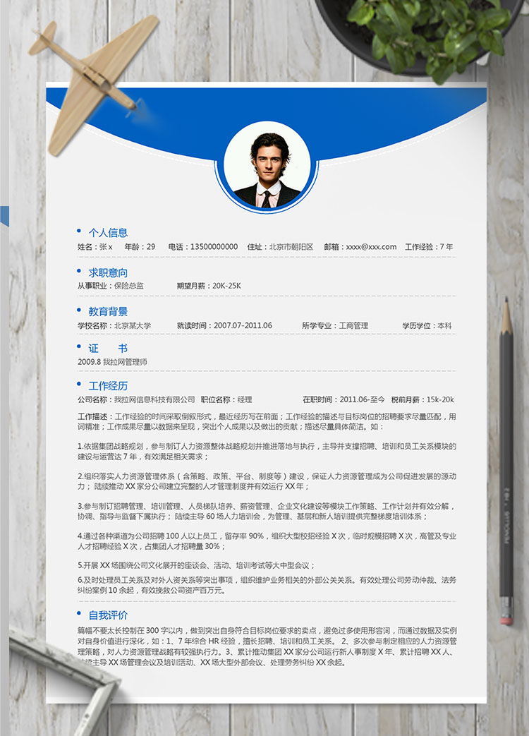 藍色系簡約風(fēng)保險總結(jié)個人簡歷模板