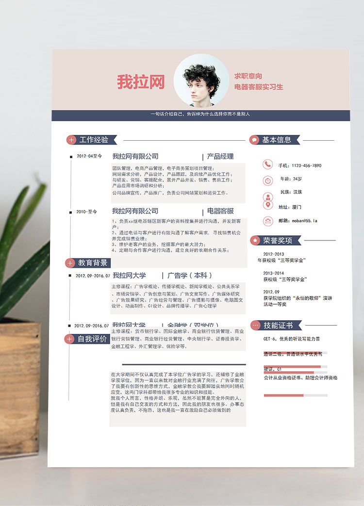 淺紫色創意風電器客服簡歷模板