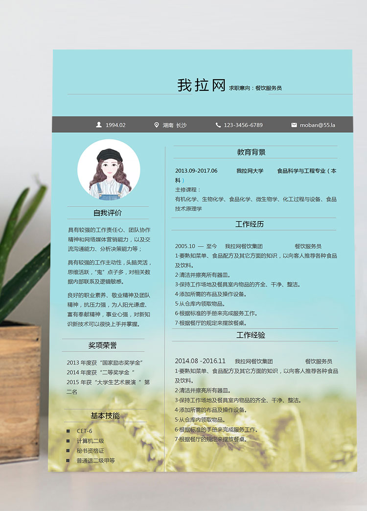 湖藍(lán)色個性風(fēng)餐飲服務(wù)員簡歷模板