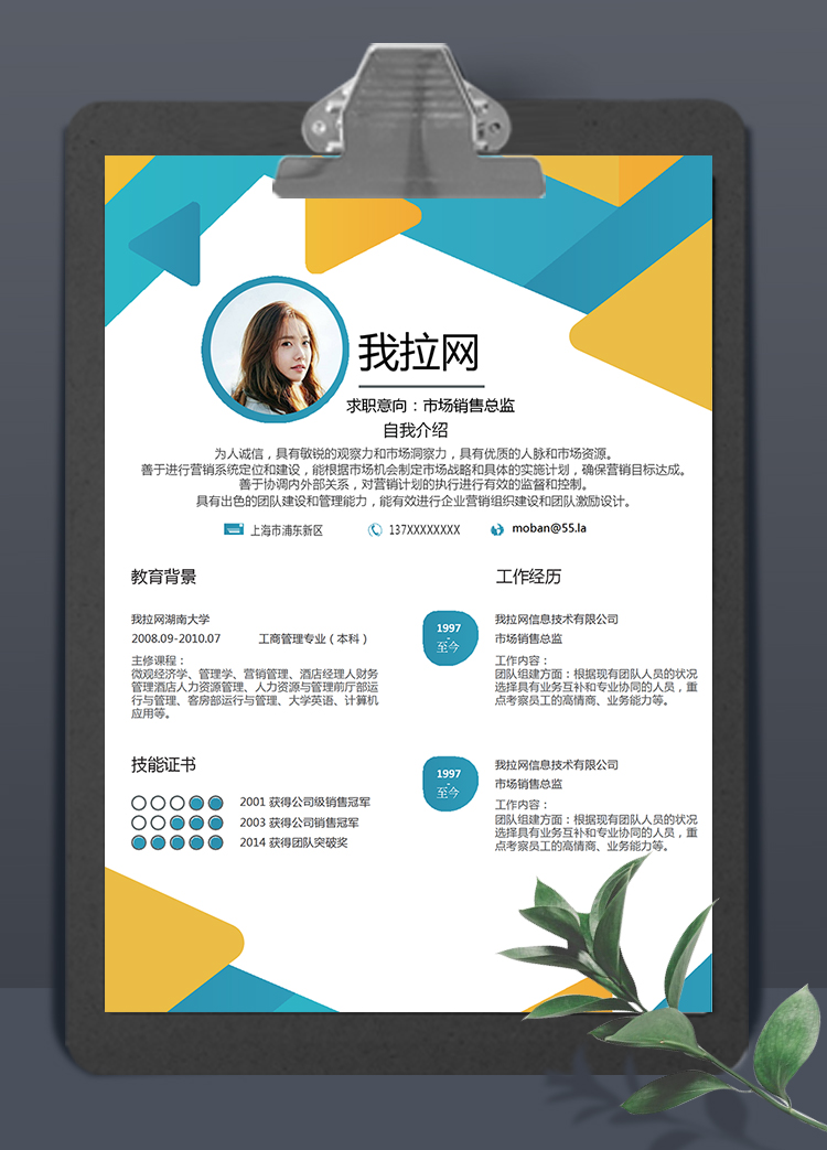 彩色幾何風(fēng)格市場銷售總監(jiān)個(gè)人簡歷模板