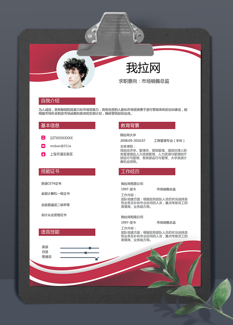 紅色曲線風格市場銷售總監(jiān)求職簡歷模板