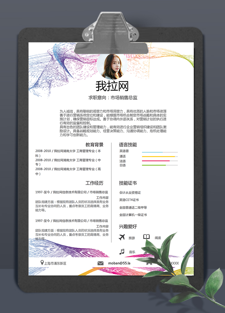簡約彩線風(fēng)市場銷售總監(jiān)個(gè)人簡歷模板