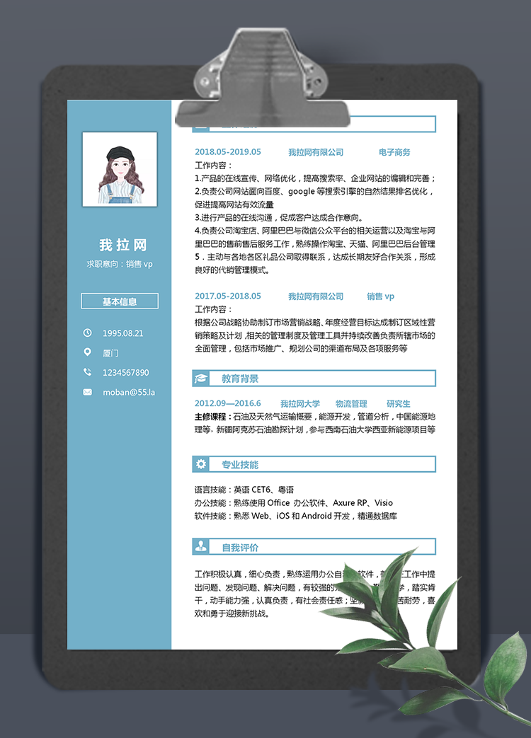 蔚藍(lán)色銷售vp個(gè)人簡(jiǎn)歷模板